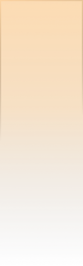Rectangle 148